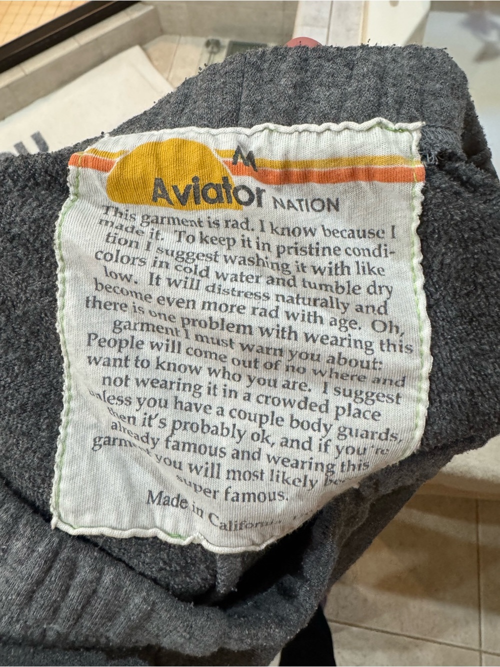 Aviator Nation Gray hoodie and joggers. - Picture 4 of 8